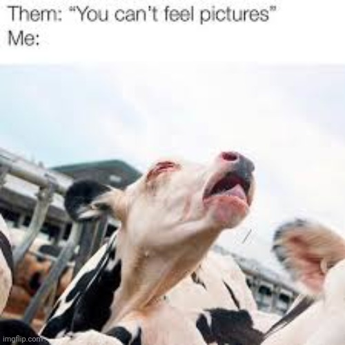 I can feel it coming inside me | made w/ Imgflip meme maker
