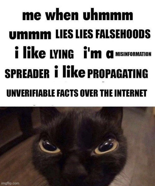 Devious little creature | image tagged in memes,funny,cats | made w/ Imgflip meme maker