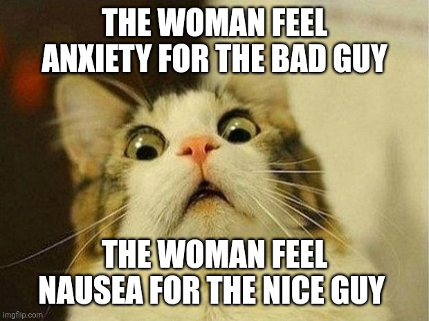 ? | THE WOMAN FEEL ANXIETY FOR THE BAD GUY; THE WOMAN FEEL NAUSEA FOR THE NICE GUY | image tagged in memes,scared cat | made w/ Imgflip meme maker