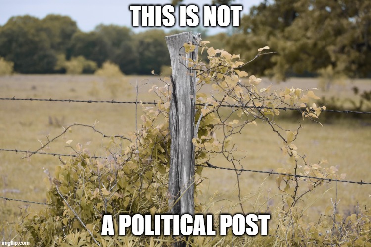 Non Political Post | THIS IS NOT; A POLITICAL POST | image tagged in non political post | made w/ Imgflip meme maker