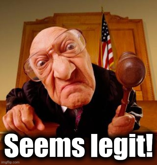Mean Judge | Seems legit! | image tagged in mean judge | made w/ Imgflip meme maker