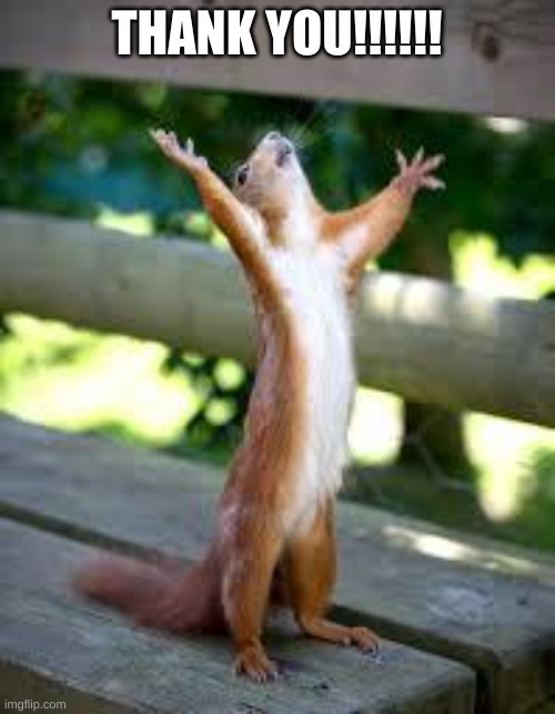 Praise Squirrel | THANK YOU!!!!!! | image tagged in praise squirrel | made w/ Imgflip meme maker