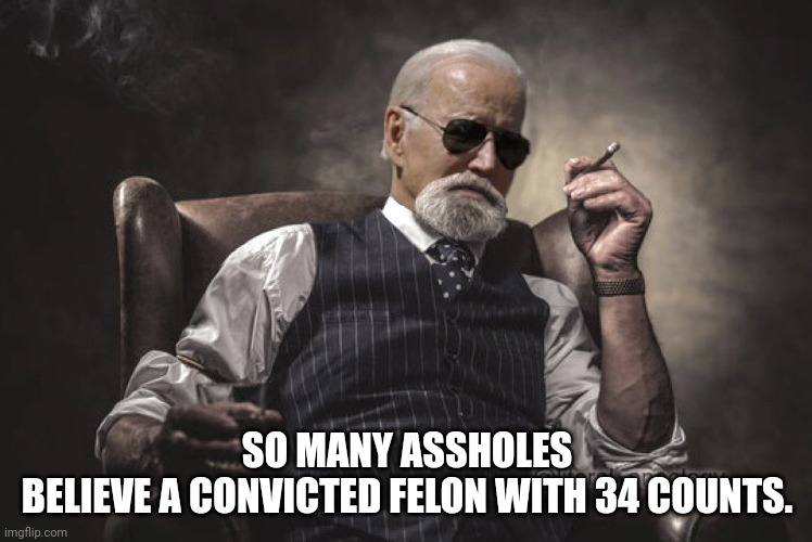 joe | SO MANY ASSHOLES
BELIEVE A CONVICTED FELON WITH 34 COUNTS. | image tagged in joe biden,poorly educated | made w/ Imgflip meme maker