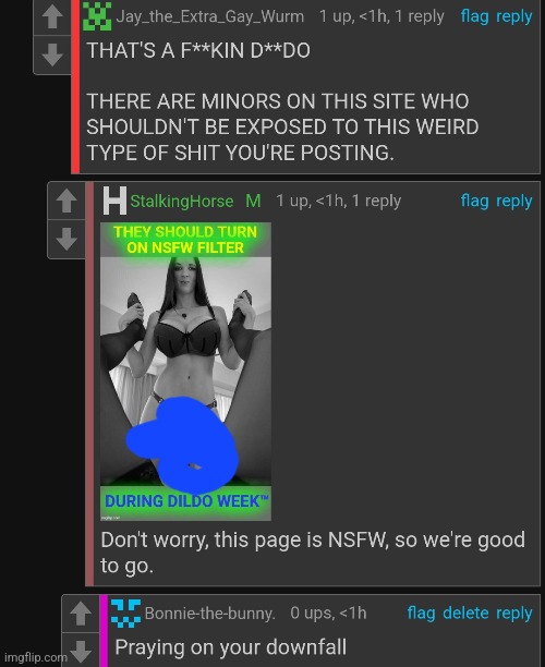 Friendly reminder that this is a sitemod and he literally posted a woman with a dildo attached | made w/ Imgflip meme maker