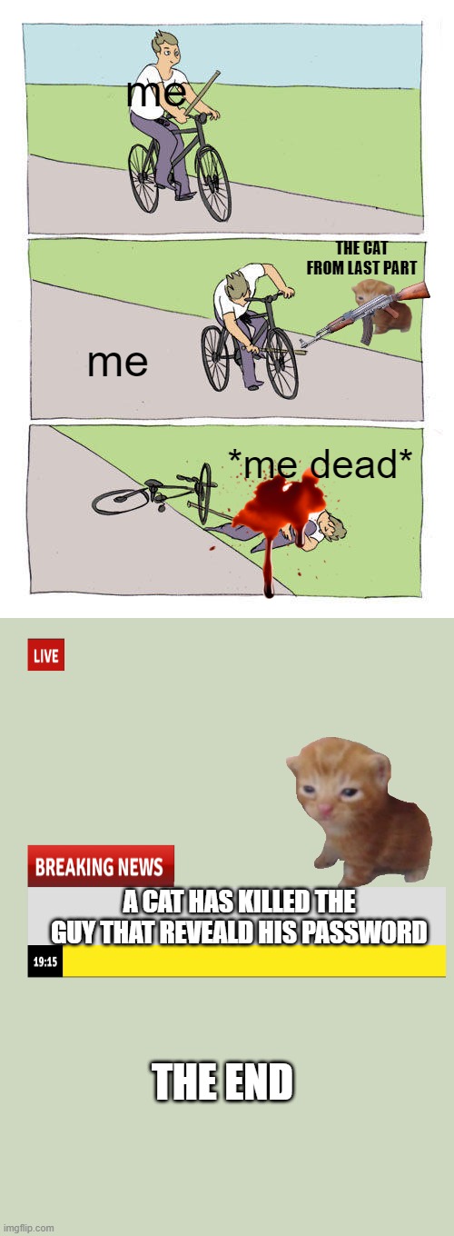 Bike Fall | me; THE CAT FROM LAST PART; me; *me dead*; A CAT HAS KILLED THE GUY THAT REVEALD HIS PASSWORD; THE END | image tagged in memes,sus | made w/ Imgflip meme maker