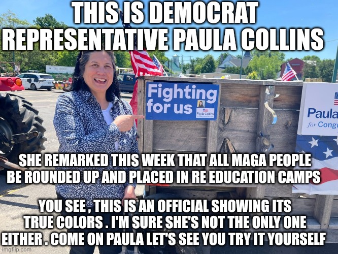 democrat Paula Collins | THIS IS DEMOCRAT REPRESENTATIVE PAULA COLLINS; SHE REMARKED THIS WEEK THAT ALL MAGA PEOPLE BE ROUNDED UP AND PLACED IN RE EDUCATION CAMPS; YOU SEE , THIS IS AN OFFICIAL SHOWING ITS TRUE COLORS . I'M SURE SHE'S NOT THE ONLY ONE EITHER . COME ON PAULA LET'S SEE YOU TRY IT YOURSELF | image tagged in democrats | made w/ Imgflip meme maker