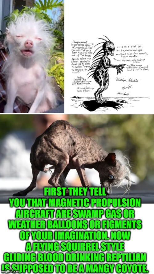 Funny | FIRST THEY TELL YOU THAT MAGNETIC PROPULSION AIRCRAFT ARE SWAMP GAS OR WEATHER BALLOONS OR FIGMENTS OF YOUR IMAGINATION. NOW A FLYING SQUIRREL STYLE GLIDING BLOOD DRINKING REPTILIAN IS SUPPOSED TO BE A MANGY COYOTE. | image tagged in funny,alien,ufo,cover up,truth,history | made w/ Imgflip meme maker