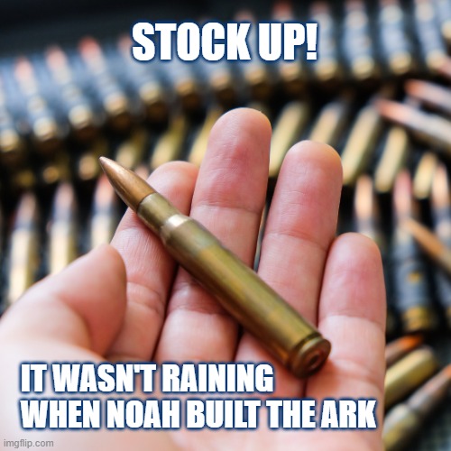 Hand holding ammo | STOCK UP! IT WASN'T RAINING WHEN NOAH BUILT THE ARK | image tagged in ammo,gun humor,2nd amendment,dark humor,humor | made w/ Imgflip meme maker