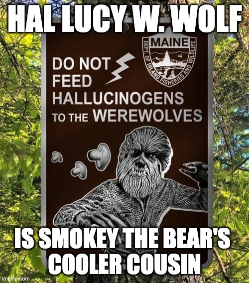 Smokey the Bear's cooler cousin, Hal Lucy W. Wolf | HAL LUCY W. WOLF; IS SMOKEY THE BEAR'S 
COOLER COUSIN | image tagged in smokey the bear,drugs | made w/ Imgflip meme maker