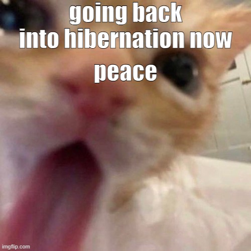 bleh | going back into hibernation now; peace | image tagged in bleh | made w/ Imgflip meme maker