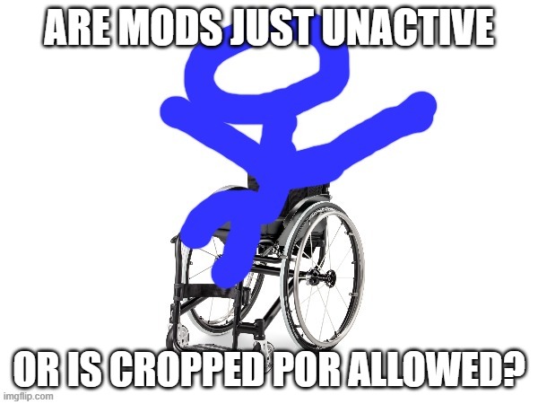 ??? | ARE MODS JUST UNACTIVE; OR IS CROPPED POR ALLOWED? | image tagged in my third template | made w/ Imgflip meme maker