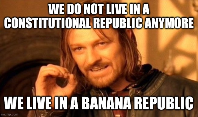 One Does Not Simply | WE DO NOT LIVE IN A CONSTITUTIONAL REPUBLIC ANYMORE; WE LIVE IN A BANANA REPUBLIC | image tagged in memes,one does not simply | made w/ Imgflip meme maker