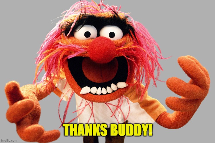 animal muppets | THANKS BUDDY! | image tagged in animal muppets | made w/ Imgflip meme maker
