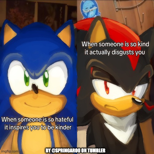 Sonk | BY @SPRINGAROO ON TUMBLER | image tagged in sonic the hedgehog,sonic,shadow the hedgehog,shadow,hate,kindness | made w/ Imgflip meme maker
