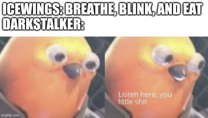 Darkstalker be goin harsh | ICEWINGS: BREATHE, BLINK, AND EAT
DARKSTALKER: | image tagged in listen here you little shit bird,wings of fire | made w/ Imgflip meme maker