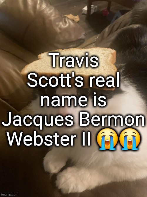 bro is literally a medieval prince | Travis Scott's real name is Jacques Bermon Webster II 😭😭 | image tagged in bread cat | made w/ Imgflip meme maker