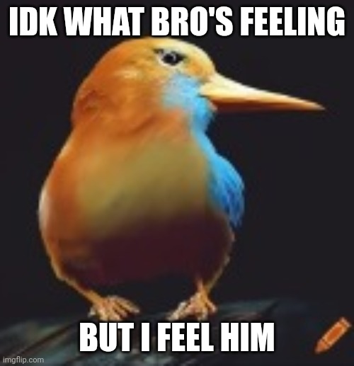 IDK WHAT BRO'S FEELING BUT I FEEL HIM | made w/ Imgflip meme maker