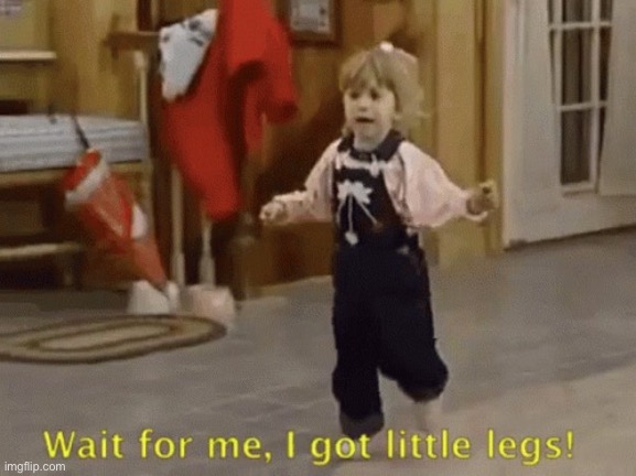 Wait for me I got little legs | image tagged in wait for me i got little legs | made w/ Imgflip meme maker