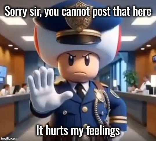 Sorry sir, you cannot post that here; It hurts my feelings | made w/ Imgflip meme maker
