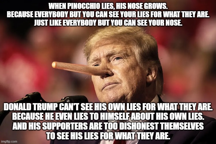Trump supporters don't understand metaphors. | WHEN PINOCCHIO LIES, HIS NOSE GROWS.
BECAUSE EVERYBODY BUT YOU CAN SEE YOUR LIES FOR WHAT THEY ARE.
JUST LIKE EVERYBODY BUT YOU CAN SEE YOUR NOSE. DONALD TRUMP CAN'T SEE HIS OWN LIES FOR WHAT THEY ARE.
BECAUSE HE EVEN LIES TO HIMSELF ABOUT HIS OWN LIES.
AND HIS SUPPORTERS ARE TOO DISHONEST THEMSELVES
TO SEE HIS LIES FOR WHAT THEY ARE. | image tagged in maga,trump,pinocchio,lies,metaphors,dishonest donald | made w/ Imgflip meme maker