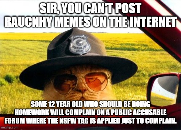 Busted by the Hypocrite Police | SIR, YOU CAN'T POST RAUCNHY MEMES ON THE INTERNET; SOME 12 YEAR OLD WHO SHOULD BE DOING HOMEWORK WILL COMPLAIN ON A PUBLIC ACCUSABLE FORUM WHERE THE NSFW TAG IS APPLIED JUST TO COMPLAIN. | image tagged in busted by the hypocrite police | made w/ Imgflip meme maker