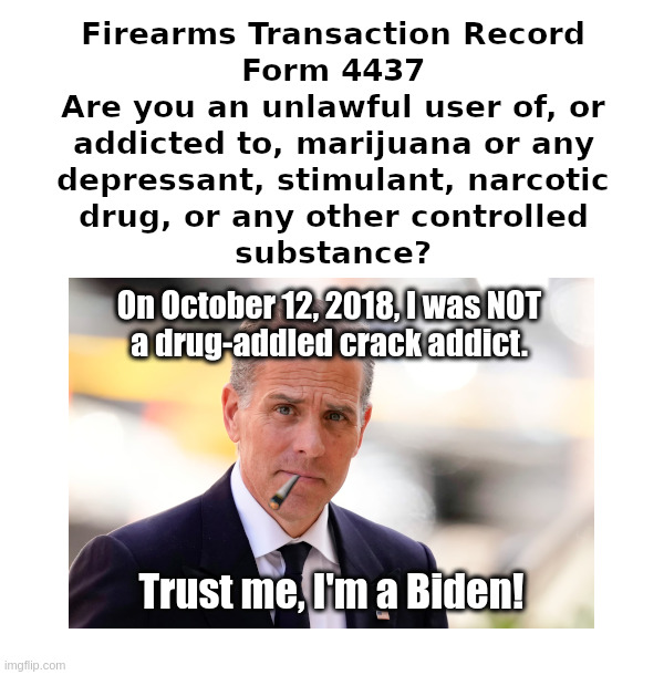 Hunter Biden: Trust Me, I'm A Biden! | image tagged in hunter biden,crack,addict,trust me,i'm a biden | made w/ Imgflip meme maker