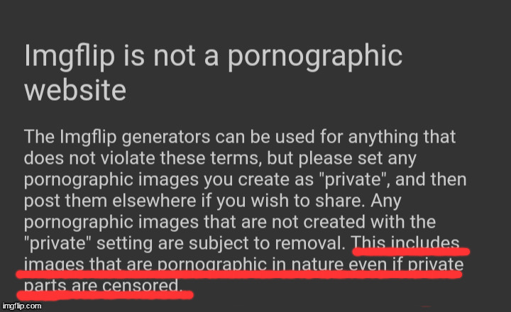 Imgflip is not for porno | image tagged in imgflip is not for porno | made w/ Imgflip meme maker