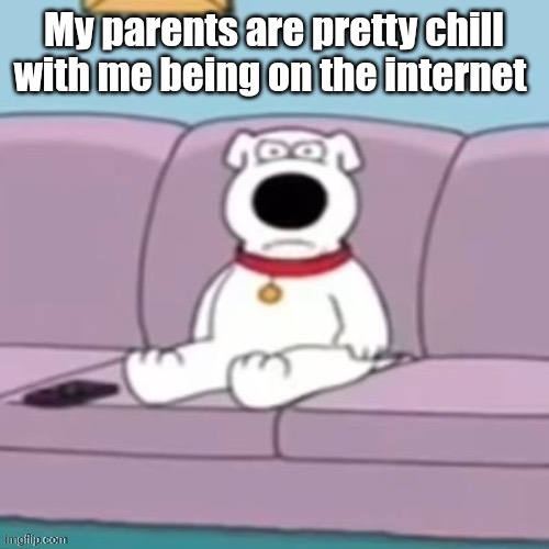 mad brian | My parents are pretty chill with me being on the internet | image tagged in mad brian | made w/ Imgflip meme maker