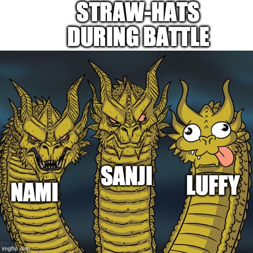 Three-headed Dragon | STRAW-HATS DURING BATTLE; SANJI; LUFFY; NAMI | image tagged in three-headed dragon,one piece | made w/ Imgflip meme maker
