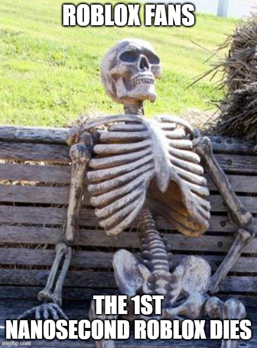 Waiting Skeleton | ROBLOX FANS; THE 1ST NANOSECOND ROBLOX DIES | image tagged in memes,waiting skeleton | made w/ Imgflip meme maker