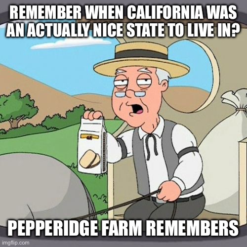 Believe it or not it used to be nice | REMEMBER WHEN CALIFORNIA WAS AN ACTUALLY NICE STATE TO LIVE IN? PEPPERIDGE FARM REMEMBERS | image tagged in memes,pepperidge farm remembers,california | made w/ Imgflip meme maker