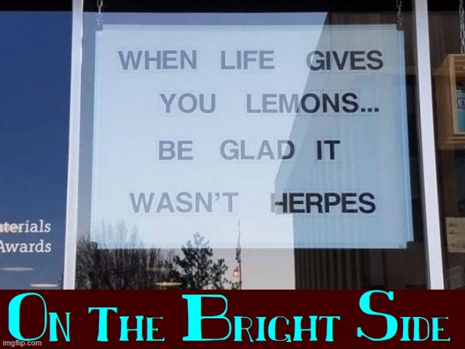 When Life Gives You Lemons | image tagged in vince vance,memes,lemons,sign,herpes,on the bright side | made w/ Imgflip meme maker