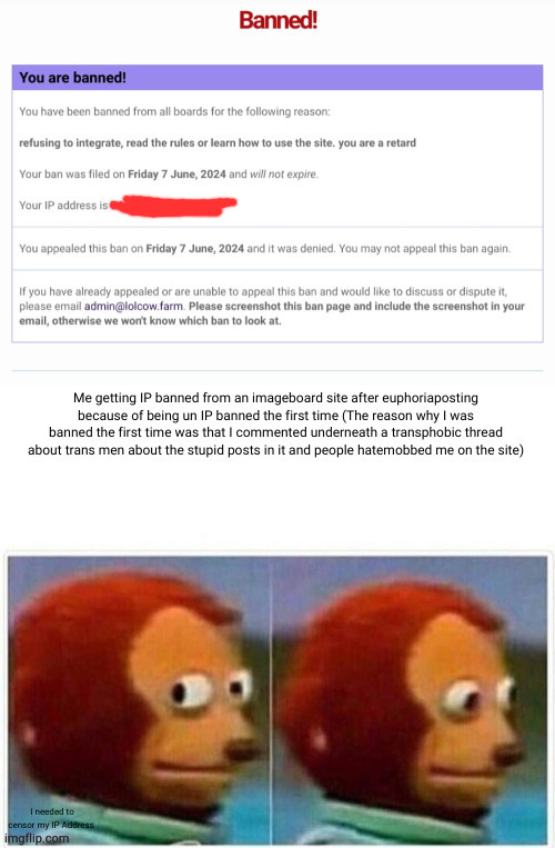Self repost with IP censored | I needed to censor my IP Address | image tagged in monkey puppet,kill me | made w/ Imgflip meme maker