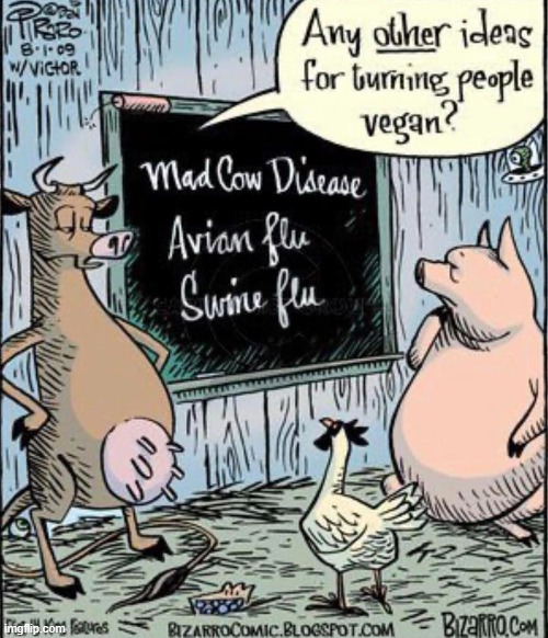 These are not dumb animals! | image tagged in vince vance,bizarro,vegan,mad cow,swine flu,cartoons | made w/ Imgflip meme maker