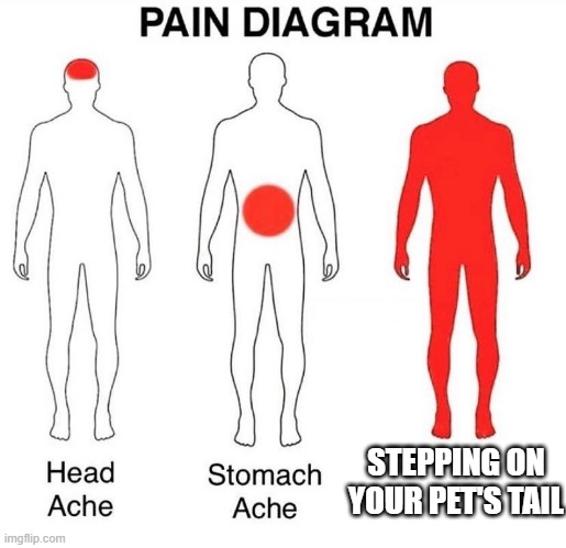 It's so sad stepping on my dog or cat's tail | STEPPING ON YOUR PET'S TAIL | image tagged in pain diagram,pets,meme,relatable,relatable memes | made w/ Imgflip meme maker