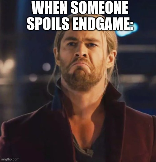 Endgame > friends | WHEN SOMEONE SPOILS ENDGAME: | image tagged in avengers endgame,marvel,thor,chris hemsworth,mean friends | made w/ Imgflip meme maker