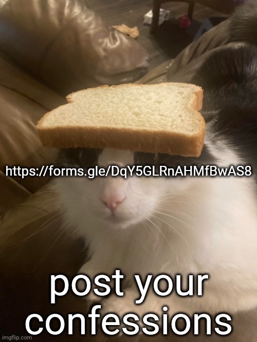 https://forms.gle/DqY5GLRnAHMfBwAS8 | https://forms.gle/DqY5GLRnAHMfBwAS8; post your confessions | image tagged in bread cat | made w/ Imgflip meme maker