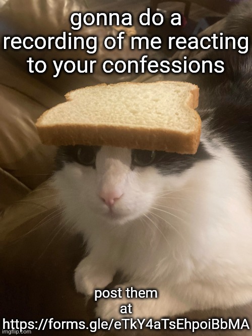 https://forms.gle/eTkY4aTsEhpoiBbMA | post them at https://forms.gle/eTkY4aTsEhpoiBbMA; gonna do a recording of me reacting to your confessions | image tagged in bread cat | made w/ Imgflip meme maker
