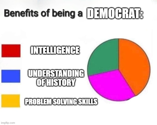Democrat benefits | DEMOCRAT:; INTELLIGENCE; UNDERSTANDING OF HISTORY; PROBLEM SOLVING SKILLS | image tagged in pie chart benefits,democrat | made w/ Imgflip meme maker
