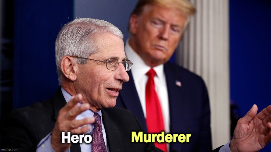 Trump wanted to delay a cure for COVID to closer to the election, so he could take credit. Americans died while Trump delayed. | Murderer; Hero | image tagged in dr fauci,hero,trump,murderer,covid-19 | made w/ Imgflip meme maker