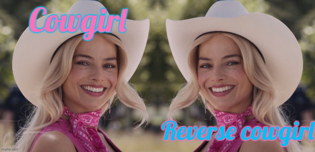 Cowgirl; Reverse cowgirl | made w/ Imgflip meme maker