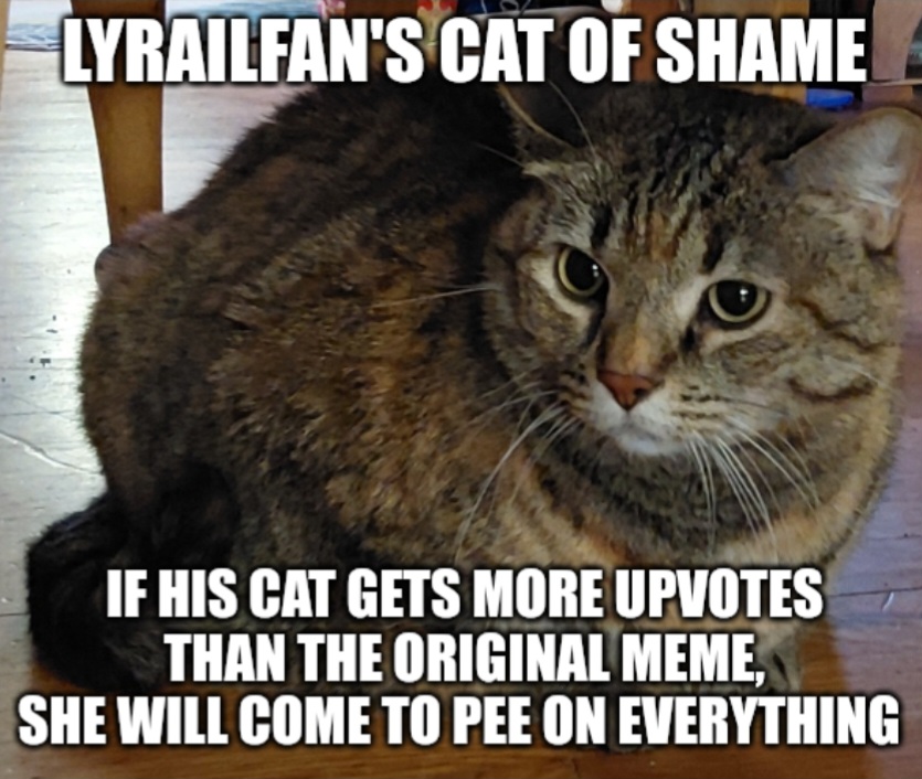 LyRailfan's cat of shame Blank Meme Template