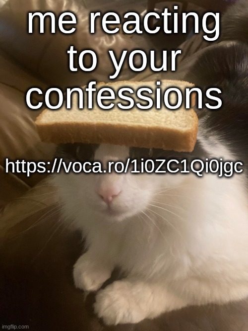 I hate how my voice sounds | me reacting to your confessions; https://voca.ro/1i0ZC1Qi0jgc | image tagged in bread cat | made w/ Imgflip meme maker