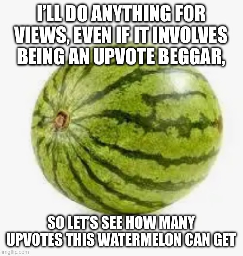 Watermelon | I’LL DO ANYTHING FOR VIEWS, EVEN IF IT INVOLVES BEING AN UPVOTE BEGGAR, SO LET’S SEE HOW MANY UPVOTES THIS WATERMELON CAN GET | image tagged in upvote begging | made w/ Imgflip meme maker