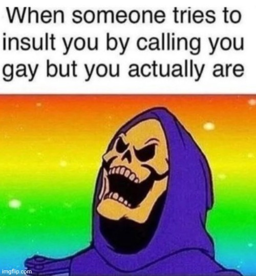 HUZZAH! YOU ARE A FOOL FOR BELIEVING SUCH A PATHETIC INSULT COULD DAMAGE ME!  (random gay meme #7) | made w/ Imgflip meme maker