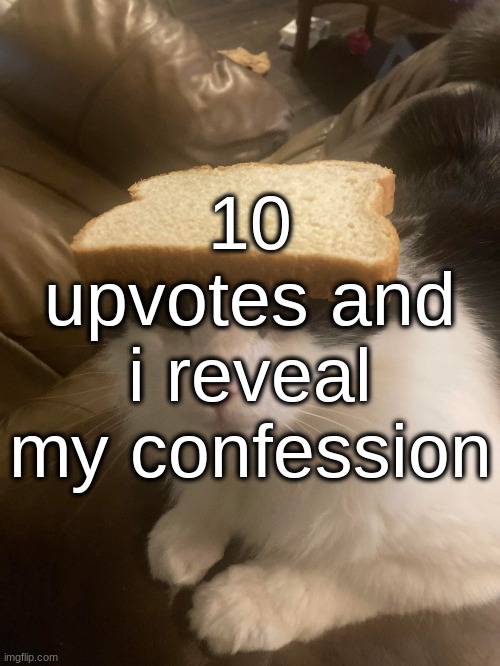 bread cat | 10 upvotes and i reveal my confession | image tagged in bread cat | made w/ Imgflip meme maker