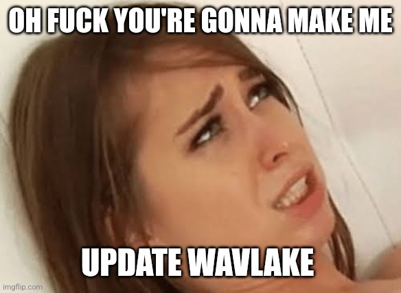 Youre going to make me | OH FUCK YOU'RE GONNA MAKE ME; UPDATE WAVLAKE | image tagged in youre going to make me | made w/ Imgflip meme maker