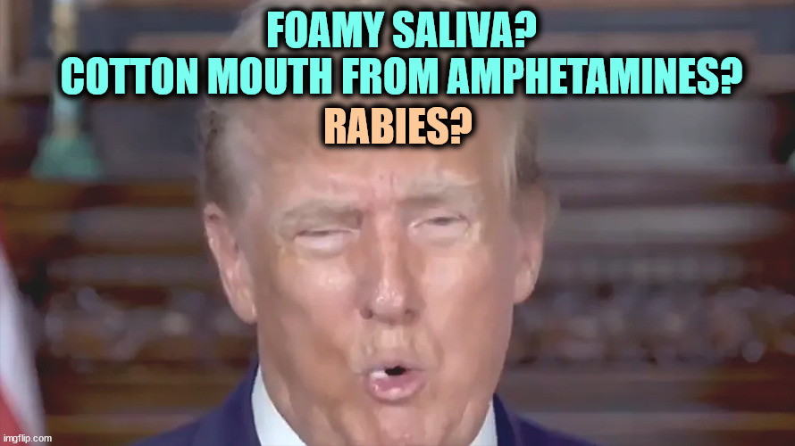 Trump's so crazy, he's foaming at the mouth. If he were a dog frothing like that, you'd take extreme steps. | FOAMY SALIVA?
COTTON MOUTH FROM AMPHETAMINES? RABIES? | image tagged in trump,crazy,foaming at the mouth,health,mental health | made w/ Imgflip meme maker