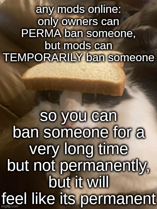 mommy mommy i made a loophole | any mods online: only owners can PERMA ban someone, but mods can TEMPORARILY ban someone; so you can ban someone for a very long time but not permanently, but it will feel like its permanent | image tagged in bread cat | made w/ Imgflip meme maker