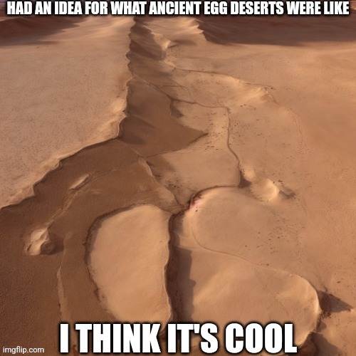 More about that later... | HAD AN IDEA FOR WHAT ANCIENT EGG DESERTS WERE LIKE; I THINK IT'S COOL | image tagged in dont think it dont say it | made w/ Imgflip meme maker